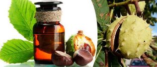 Chestnut tincture - a folk remedy for the treatment of prostatitis