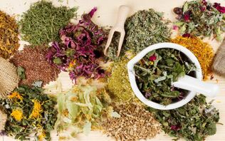 Herbs for the treatment of prostatitis