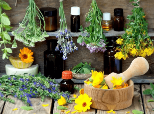 Herbs and tinctures for treatment of prostatitis